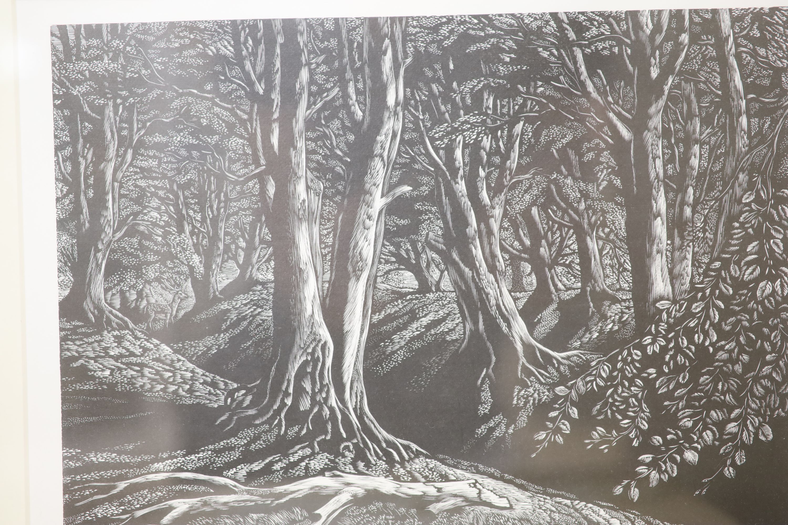 Seven assorted near contemporary wood engravings by George Tute, Monica Poole, Peter Reddick, Peter S. Smith, Claire Bulby and AC Garrett, largest 50 x 25cm